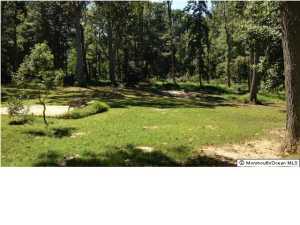 270 Bartley Rd, Jackson, NJ 08527 photo 9