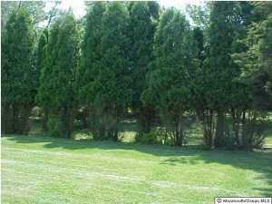26 Sheffield Dr, Forked River, NJ 08731 photo 3