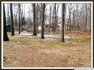 312 Diamond Rd, Jackson, NJ 08527 photo 12