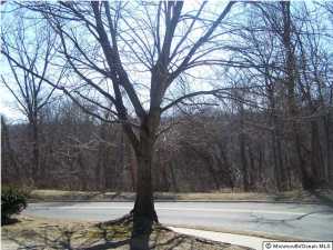 91 Rita Ln, Jackson, NJ 08527 photo 5