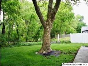 28 Forest Dr, Jackson, NJ 08527 photo 15