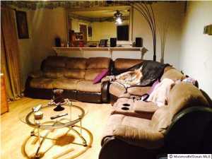 62 Greenwood Loop Rd, Brick, NJ 08724 photo 7