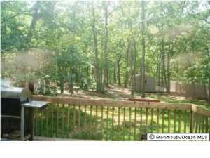 19 Galassi Ct, Jackson, NJ 08527 photo 17