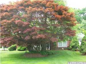 533 Heather Ln, Brick, NJ 08724 photo 6