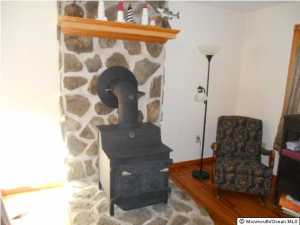 95 Canis Dr, Brick, NJ 08724 photo 9