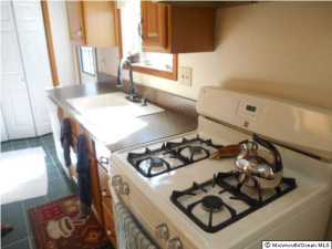 95 Canis Dr, Brick, NJ 08724 photo 5