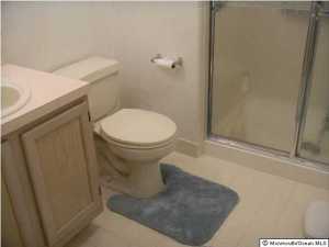 11 Mayapple Dr, Brick, NJ 08724 photo 6