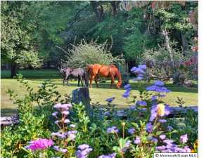 420 Locust Point Rd, Rumson, NJ 07760 photo 4