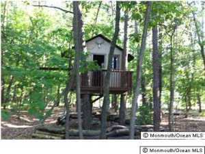 522 Leesville Rd, Jackson, NJ 08527 photo 17
