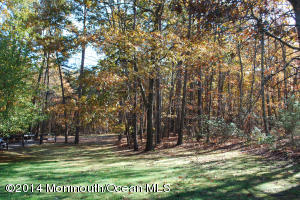444 Freehold Rd, Jackson, NJ 08527 photo 17