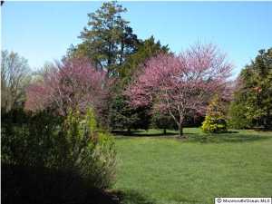 124 Rumson Rd, Rumson, NJ 07760 photo 21