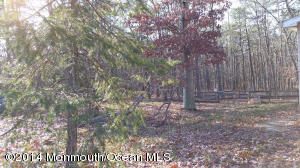 875 W Commodore Blvd, Jackson, NJ 08527 photo 12