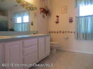 4 Solomon Ct, Jackson, NJ 08527 photo 17