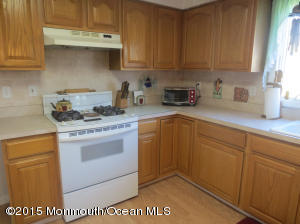 4 Solomon Ct, Jackson, NJ 08527 photo 10