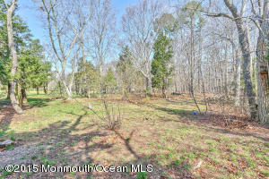 36 Walker Ln, Waretown, NJ 08758 photo 33