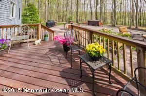 7 Alpine Dr, Millstone, NJ 08535 photo 28