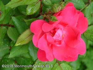 75 Bingham Ave, Rumson, NJ 07760 photo 41