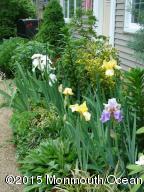 75 Bingham Ave, Rumson, NJ 07760 photo 40