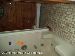 459 Hyson Rd, Jackson, NJ 08527 photo 7
