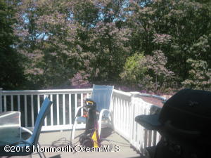 20 Galassi Ct, Jackson, NJ 08527 photo 6