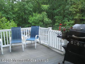 20 Galassi Ct, Jackson, NJ 08527 photo 9