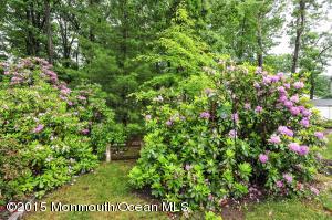 3 Ned Dr, Matawan, NJ 07747 photo 16