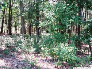 457 Leming Rd, Jackson, NJ 08527 photo 14