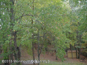 433 Harmony Rd, Jackson, NJ 08527 photo 10