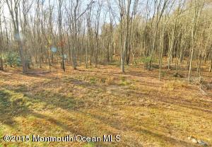 359 Tall Tree Ct, Jackson, NJ 08527 photo 36