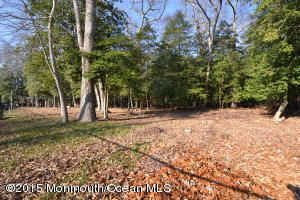 410 Constitution Dr, Forked River, NJ 08731 photo 27