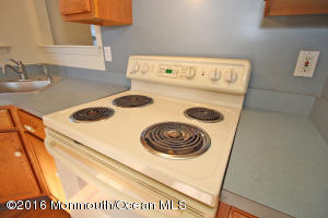41 Meadows Ln, Whiting, NJ 08759 photo 18