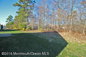 41 Meadows Ln, Whiting, NJ 08759 photo 42