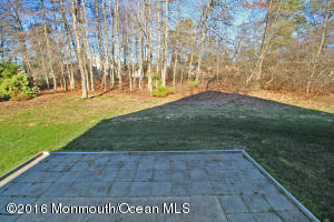 41 Meadows Ln, Whiting, NJ 08759 photo 45