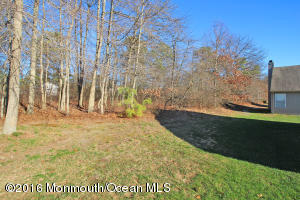 41 Meadows Ln, Whiting, NJ 08759 photo 44