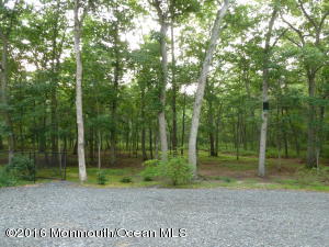 16 Dunhill Rd, Jackson, NJ 08527 photo 32