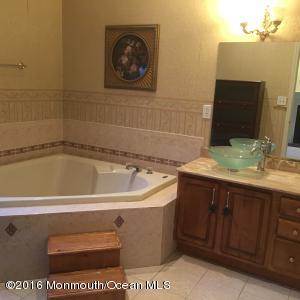 17 Albert Ct, Jackson, NJ 08527 photo 48