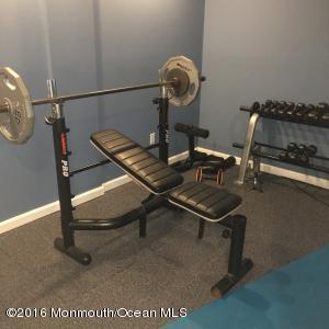 17 Albert Ct, Jackson, NJ 08527 photo 43