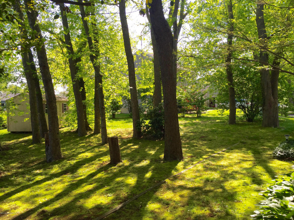 21 Jason Dr, Spring Lake Heights, NJ 07762 photo 4