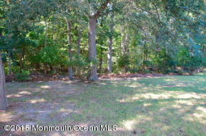 320 Shady Brook Ln, Forked River, NJ 08731 photo 4