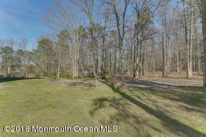7 Sugar Pine Dr, Jackson, NJ 08527 photo 36