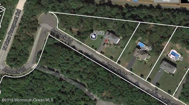 1002 Aumack Rd, Jackson, NJ 08527 photo 41