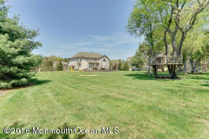 3 Calendula Ct, Jackson, NJ 08527 photo 66