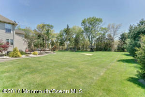 3 Calendula Ct, Jackson, NJ 08527 photo 65