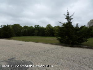 4 Botanical Way #B, Jackson, NJ 08527 photo 17