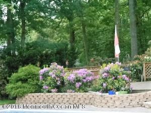 5 Timber Ct, Jackson, NJ 08527 photo 3