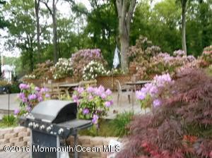 5 Timber Ct, Jackson, NJ 08527 photo 6