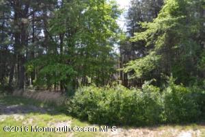41 Ashley Rd, Whiting, NJ 08759 photo 7