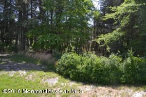 41 Ashley Rd, Whiting, NJ 08759 photo 8
