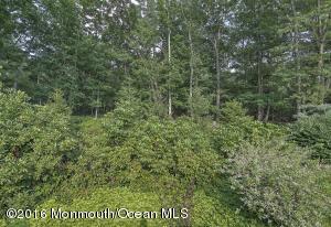 342 Millstone Rd, Millstone, NJ 08510 photo 28