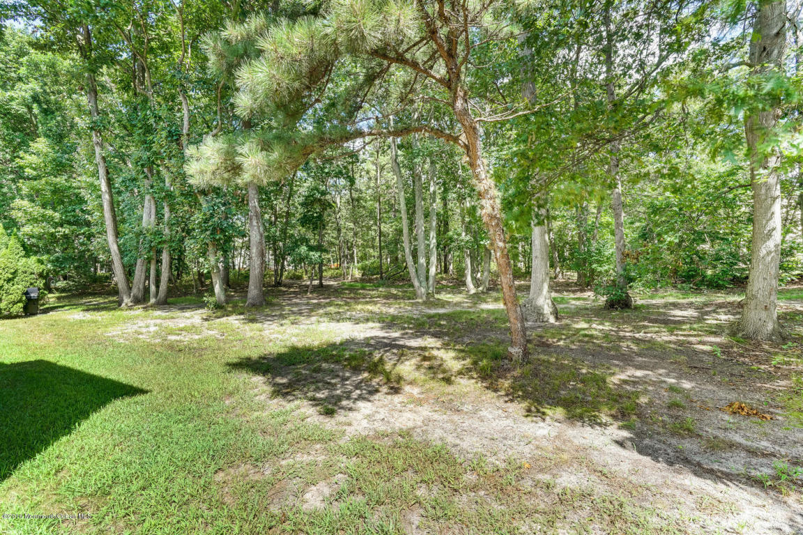 806 Violet Ln, Jackson, NJ 08527 photo 23